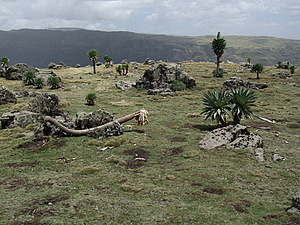 afrika4183.jpg