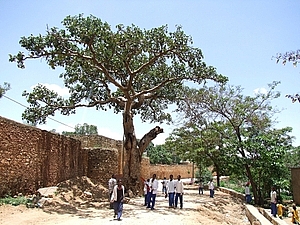 afrika0947a.jpg