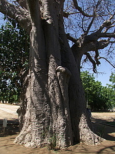 afrika5420.jpg