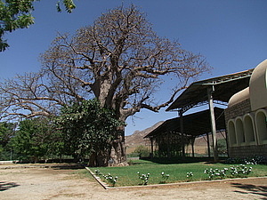 afrika5430.jpg
