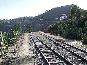 afrika6903.jpg