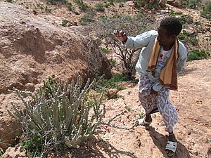 afrika1658.jpg