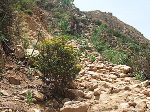 afrika5749.jpg