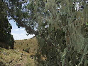 afrika4039.jpg