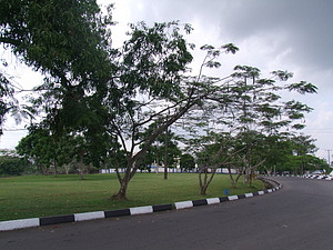 0685_afr0681.jpg