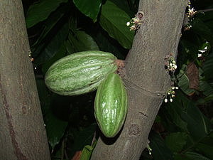 0701_afr0701.jpg