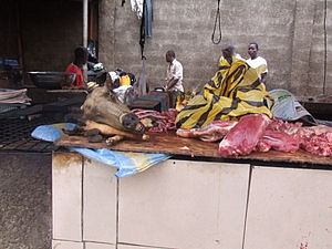 0710_afr0710.jpg