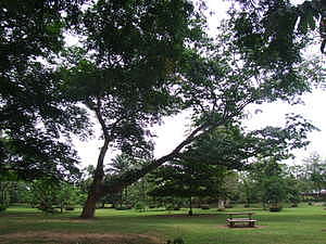 0717_afr0717.jpg