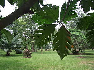 0724_afr0724.jpg