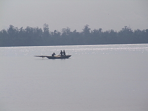 0779_afr0779.jpg