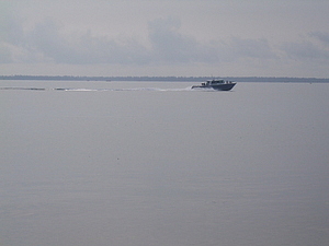 0780_afr0780.jpg