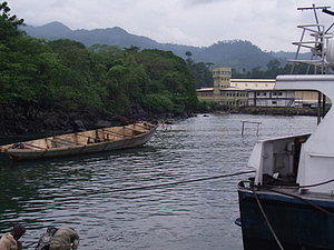 0847_afr0847.jpg