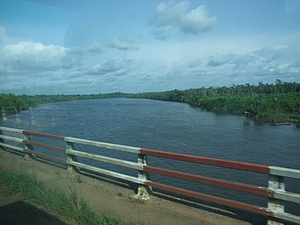 1181_afr1181.jpg