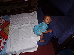 1190_afr1351.jpg