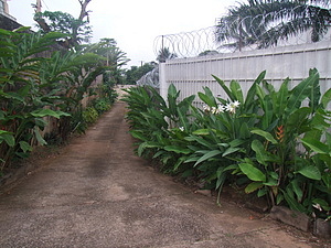 1204_afr1196.jpg
