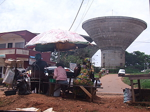 1272_afr1221.jpg