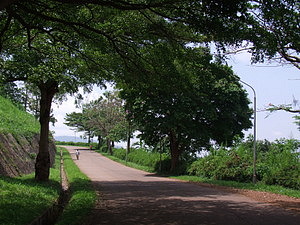 1314_afr1262.jpg