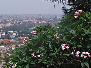 1323_afr1271.jpg
