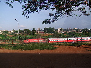 1348_afr1340.jpg
