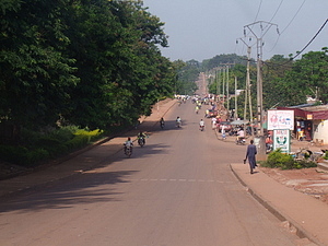 1362_afr1362.jpg