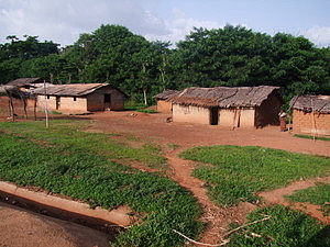 1366_afr1366.jpg