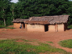 1367_afr1367.jpg