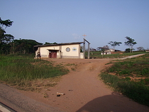 1375_afr1375.jpg