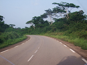 1377_afr1377.jpg
