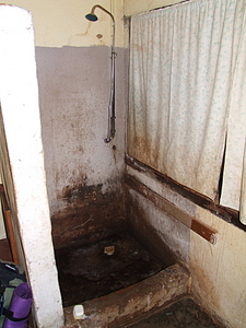 1394_afr1394.jpg