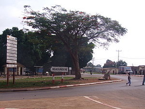 1401_afr1401.jpg