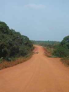 1421_afr1421.jpg