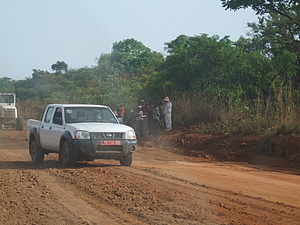 1436_afr1436.jpg