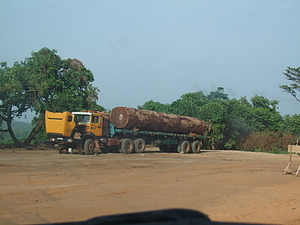 1448_afr1448.jpg