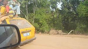 1449_afr1449.jpg