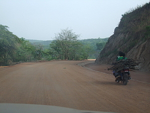1453_afr1453.jpg