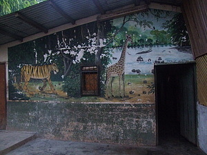 1485_afr1485.jpg