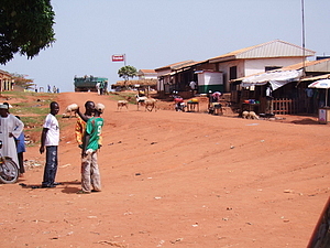 1525_afr1525.jpg