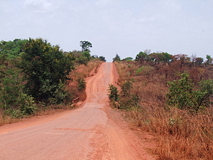 1542_afr1542.jpg