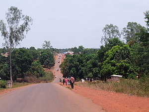 1543_afr1543.jpg