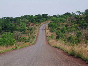 1558_afr1558.jpg