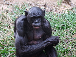 DSCF3681.JPG