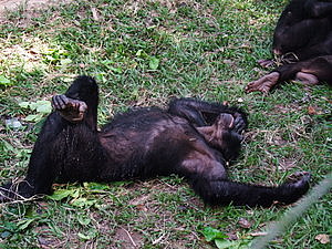 DSCF3685.JPG