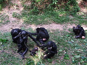 DSCF3686.JPG