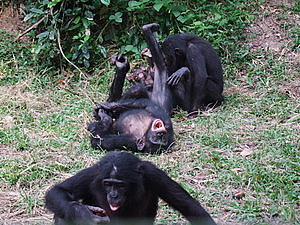 DSCF3711.JPG
