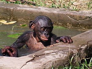 DSCF3717.JPG