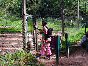 DSCF3740.JPG