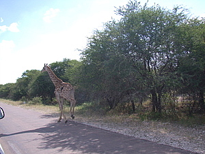 DSCF5532.JPG