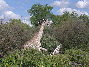 DSCF5535.JPG