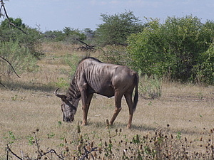 DSCF5565.JPG