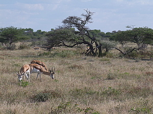 DSCF5581.JPG